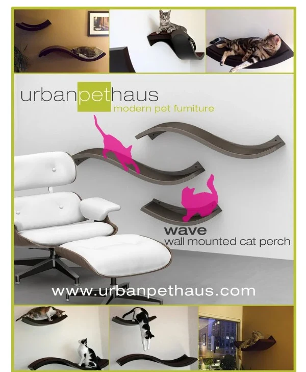 Pet Products — product design study
