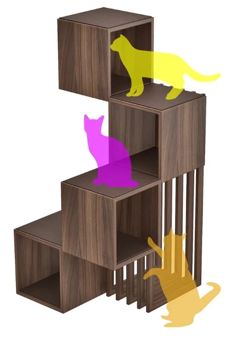 Pet Products — product design study
