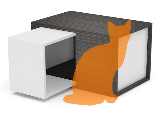 Pet Products — product design study